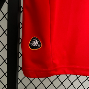 Camisa Espanha Home 2010 - Retrô Adidas Masculino - Vermelho