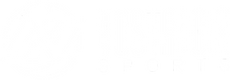 Logotipo da loja Nostalgia Sports | Camisas Retrô